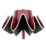 Ruby Red